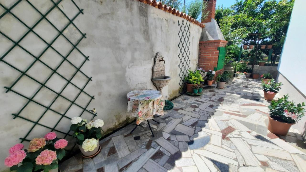 Apartma Bajc Apartment Secovlje