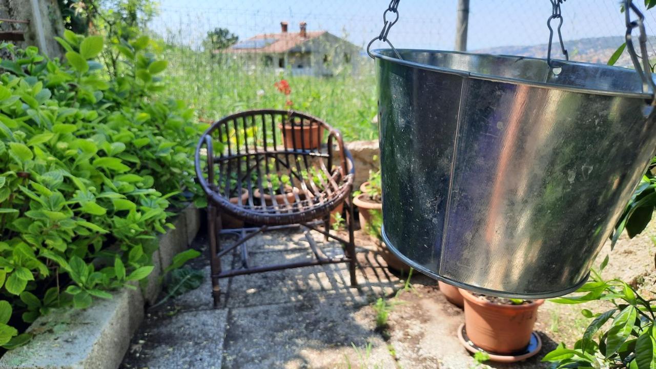 Apartma Bajc * Secovlje