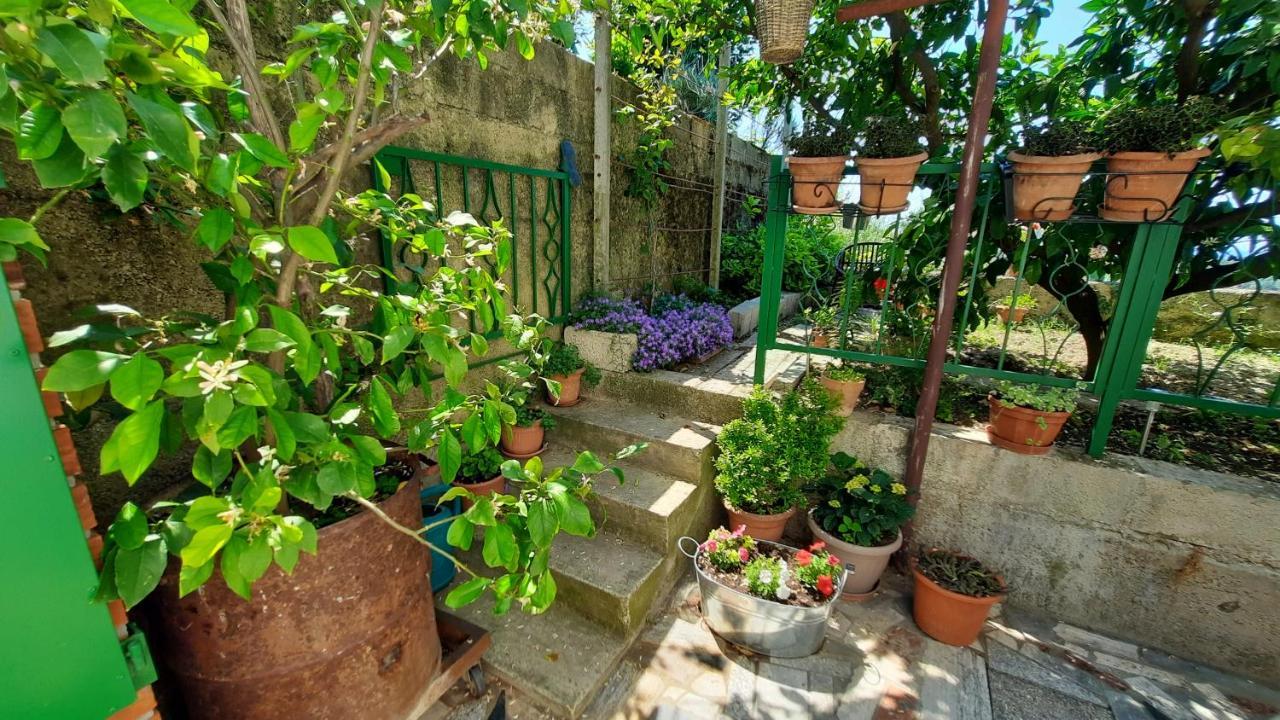 Apartma Bajc Secovlje