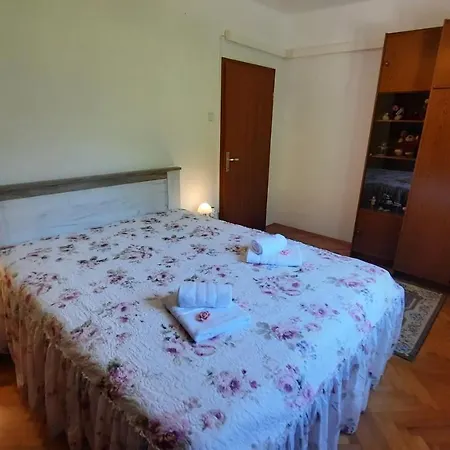Apartma Bajc Secovlje Exterior photo