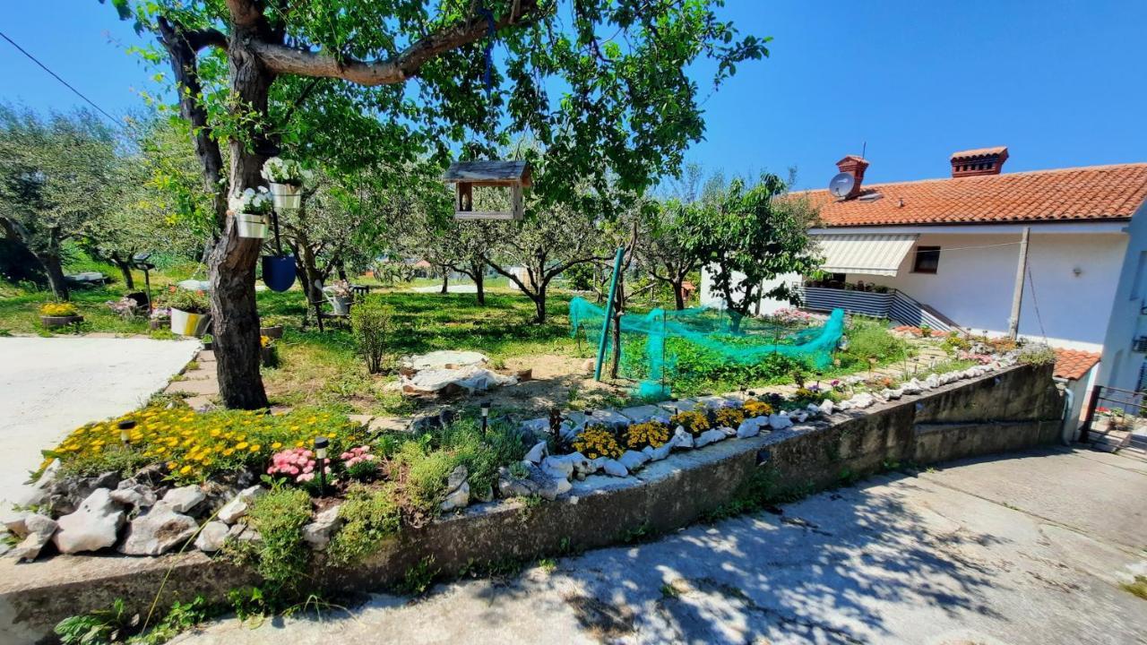 Apartma Bajc Appartement *