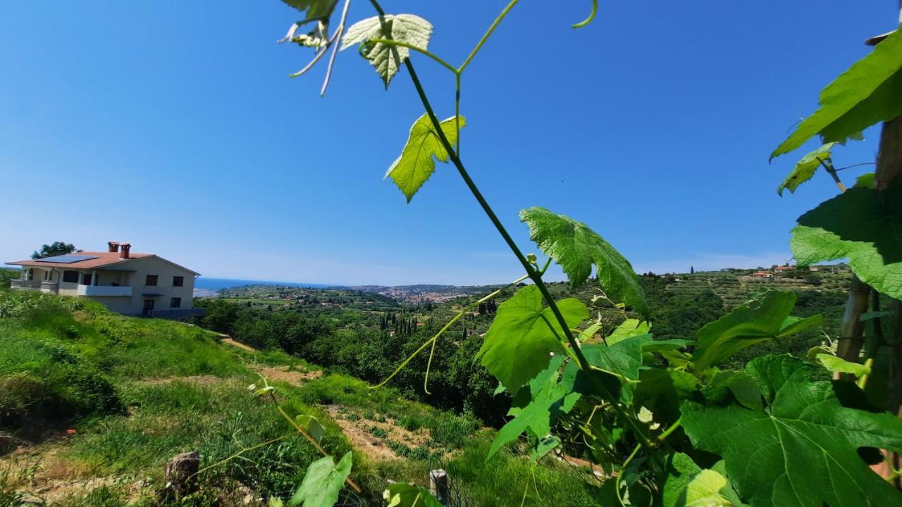 Apartma Bajc * Sečovlje